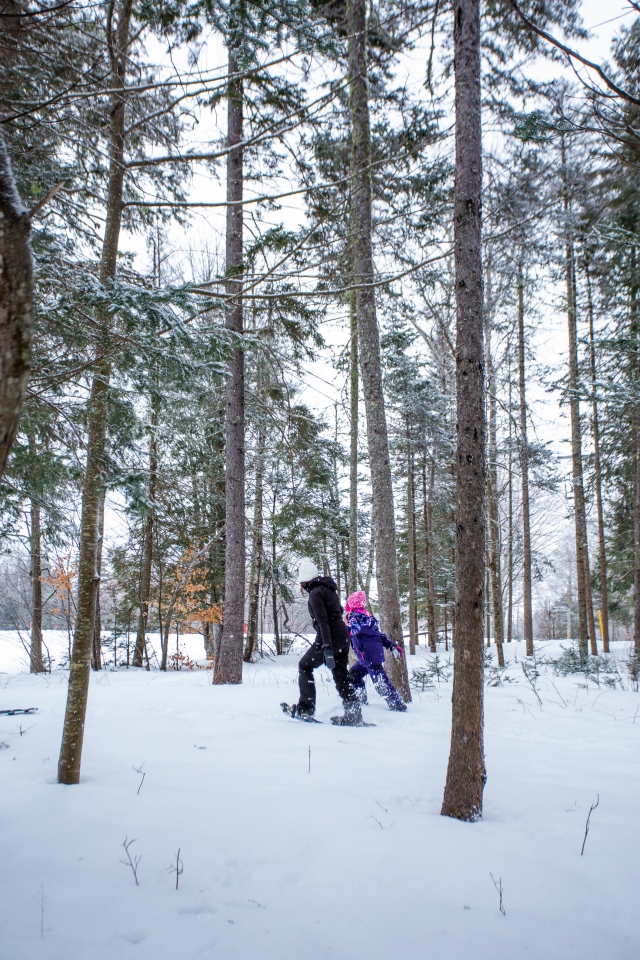 People snowshoeing in snow covered forest